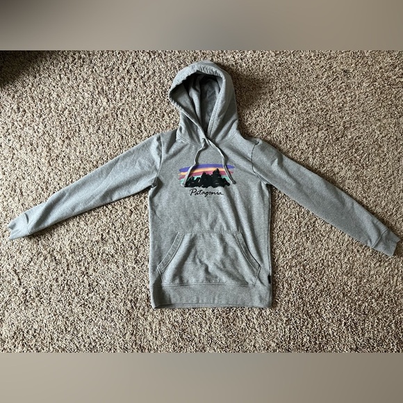 Patagonia Free Hand Fitz Roy Ahnya Hoodie in gray - Picture 3 of 13